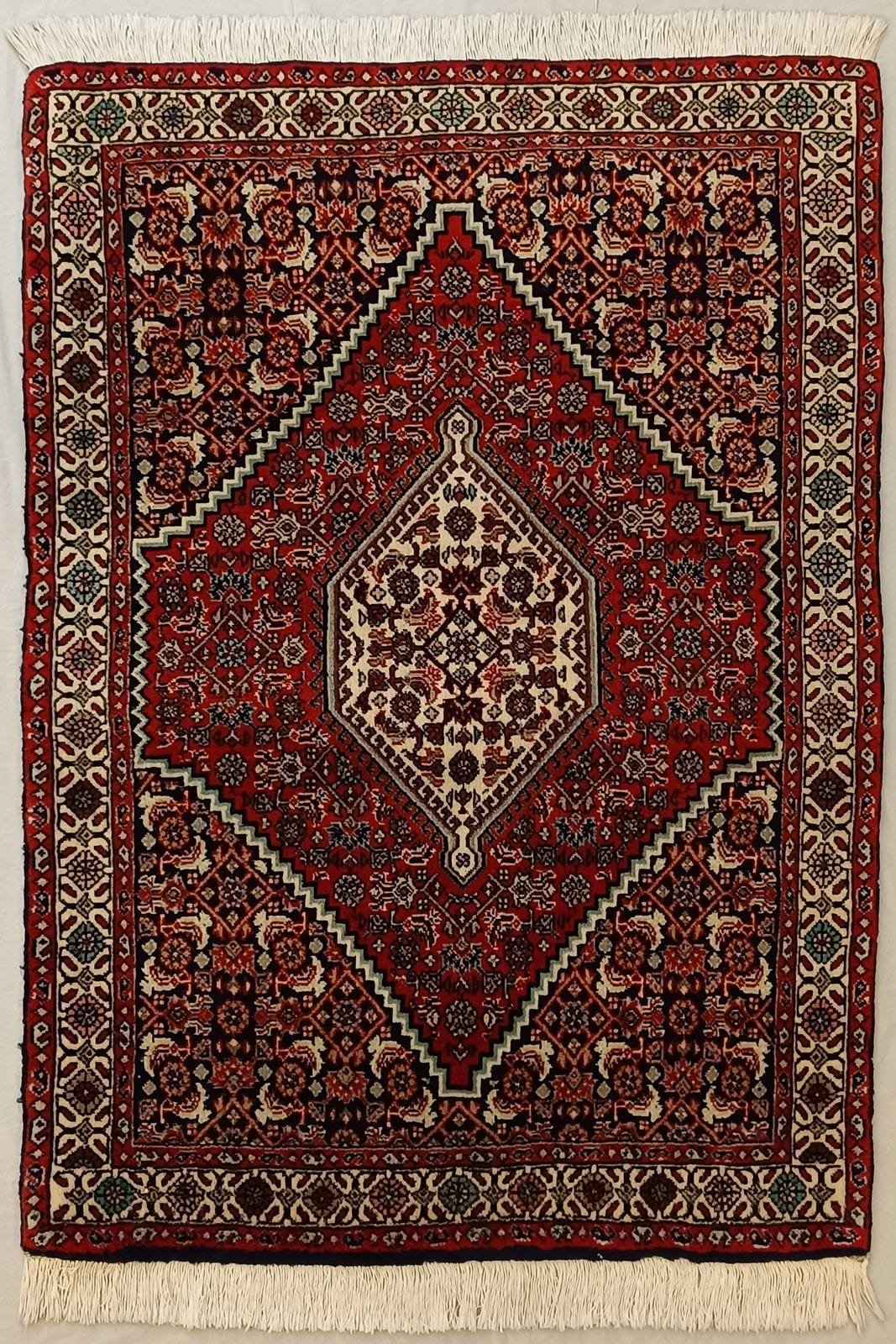 IRANIAN BIDJAR TEKAB HANDMADE WOOL CARPET